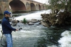 Pcher la Loire  Nevers