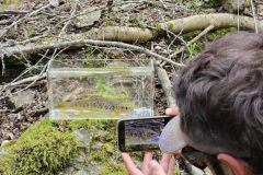 Utiliser un nano aquarium à la pêche