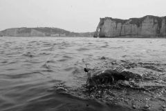 La pche du bar sur chasses