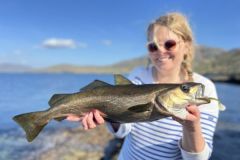 Retout en images sur les meilleurs moments de pche de ce sjour en Irlande 