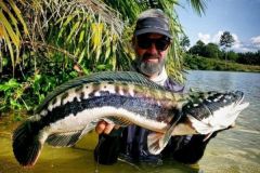 Diffrentes techniques pour pcher le giant snakehead