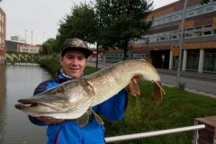 Pcher le brochet dans les polders