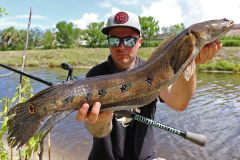 Une canne  brochet ou  black-bass fait l'affaire !