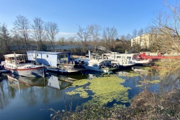Les bons spots  prospecter  en eau douce : les darses et bras morts