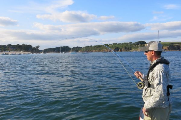 La pêche du bar est à tenter au moins une fois dans sa carrière de pêcheur à la mouche.