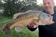 Pcher le black-bass
