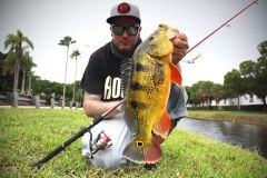 Le street fishing  Miami est hors normes !