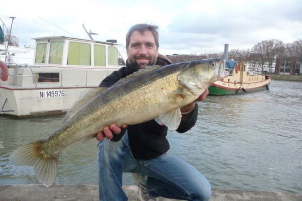Spots de pche : les amortis de courant en rivire et en fleuve