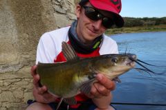 Pcher le channel catfish aux appts