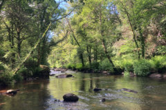 La fermeture de la pche en rivire est dj l mais la saison ne s'arrte pas pour autant !