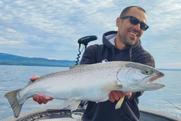 Pêche de la truite lacustre