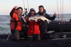 L'quipe Honda Marine Kerfil