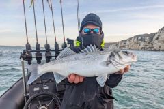 Pcher le bar en automne