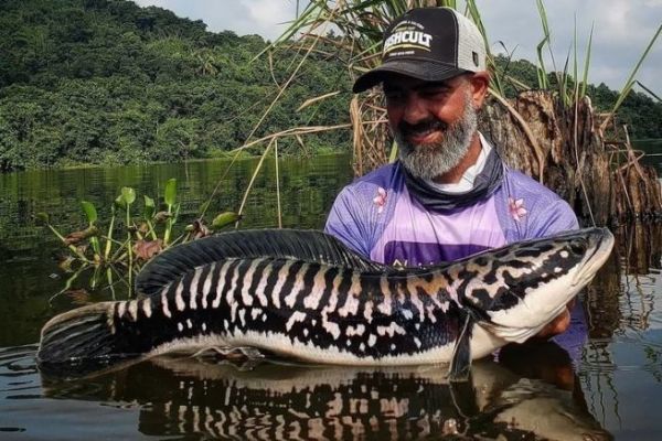 Pche du Giant Snakehead : le matriel ncessaire  chaque technique