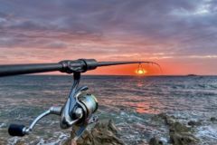 Les coefficients de mare sont dterminants pour la russite des sorties de pche en mer.