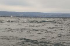 L'influence de la lune sur la p�che en mer