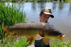Les appâts pour pêcher la carpe