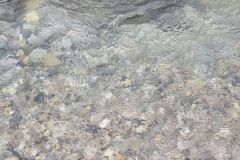 Restaurer les rivières