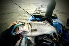 La pêche menacée !