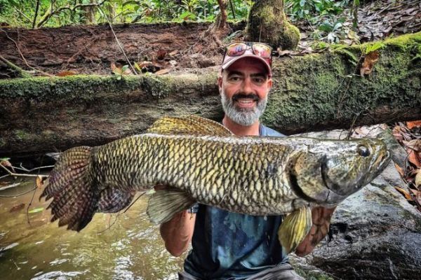 Partir pcher l'amara en Amazonie : comportement et technique