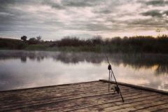 Les carpes kos de Nouvelle Zlande