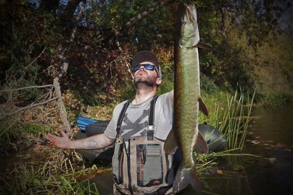 Le maskinong, l'un des plus gros poissons d'eau douce du Qubec.