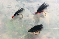 Les cormorants sont de vritables aimants  truites ! 