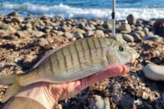Pêcher à soutenir depuis le bord