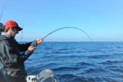 Dclaration des prises obligatoire en 2026