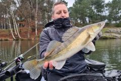 Où rechercher les sandres ?