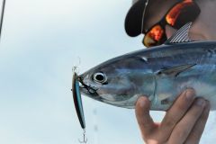 Pêcher à la traîne légère en mer