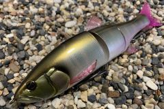 La taille 180 �tait tr�s attendue !