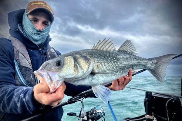 Gros leurre, gros poisson ?