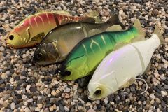 Le Gantarel d'Illex fait son retour !