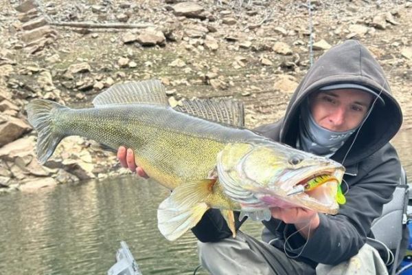 Berkley Flatt Shad Leurre dur Polyvalent pour la Pêche des Berkley Flatt Shad Leurre dur Polyvalent pour la Pêche des