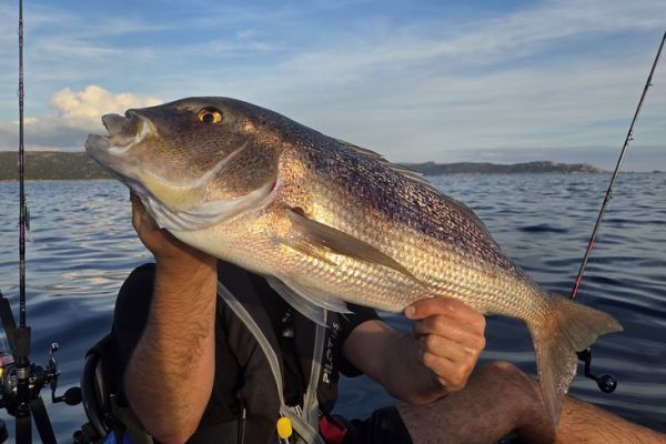 P�cher le denti au Fireball