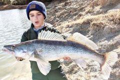 P�cher le sandre du bord