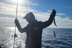 P�cher des allaches