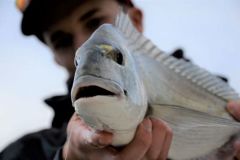Pêcher aux appâts depuis les plages