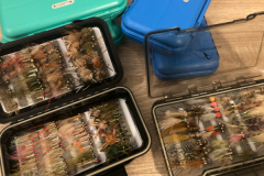 Choisir sa mouche pour le bonefish