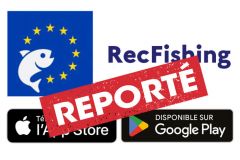 Lancement de l'application RecFishing report�