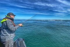 Une pause lors des animations