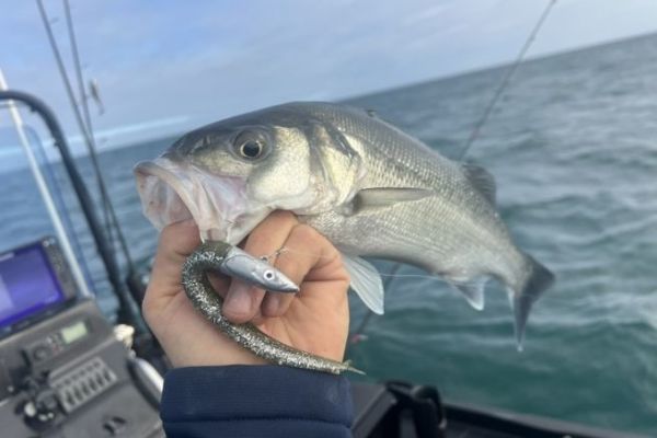 P�cher les taches de sable isol�es parmi les algues.