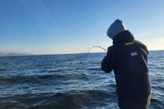 Le mat�riel pour p�cher le pagre