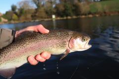 La p�che au chiro procure toujours de belles sensations ! 