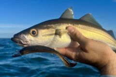 Prendre ses premiers poissons est un moment particulier.