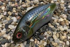 L'Hadara Trap se lance � 80 m�tres !