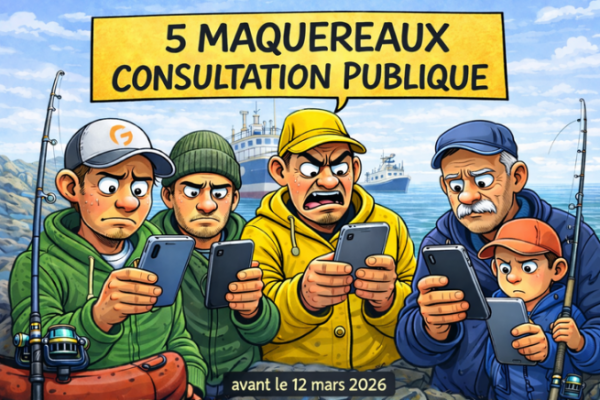 Consultation publique pour les 5 maquereaux et leur déclaration : donnez votre avis