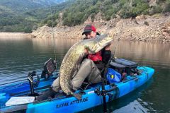 P�cher le silure au ver