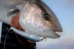 P�cher la s�riole au popper